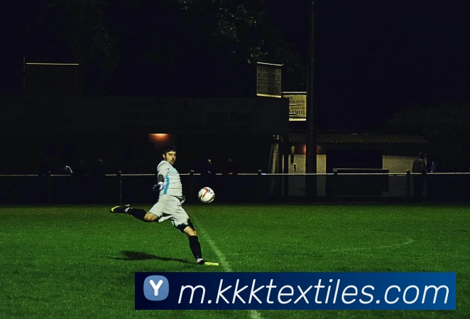 多媒体互动体验